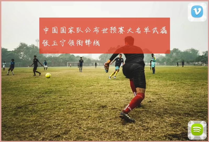 中国国家队公布世预赛大名单武磊张玉宁领衔锋线