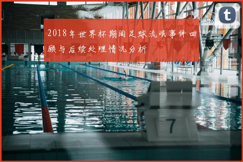 2018年世界杯期间足球流氓事件回顾与后续处理情况分析