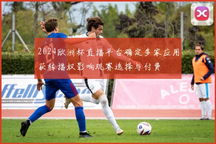 2024欧洲杯直播平台确定多家应用获转播权影响观赛选择与付费