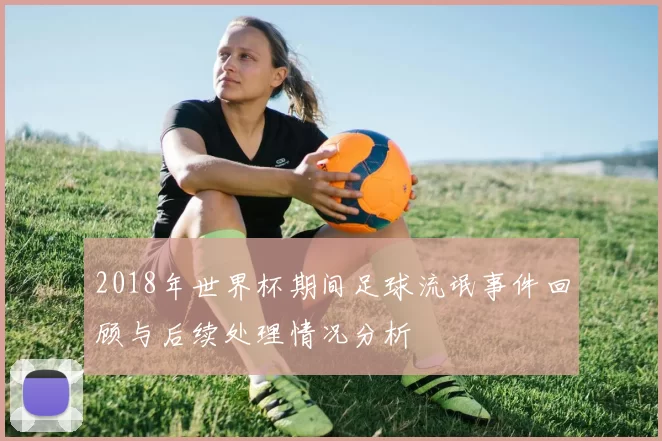 2018年世界杯期间足球流氓事件回顾与后续处理情况分析