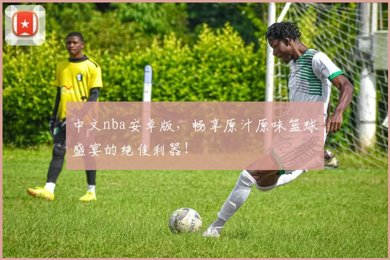 中文nba安卓版，畅享原汁原味篮球盛宴的绝佳利器！