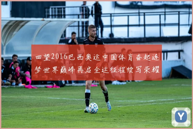 回望2016巴西奥运中国体育奋起逐梦世界巅峰再启全运征程续写荣耀