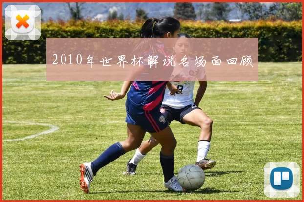 2010年世界杯解说名场面回顾
