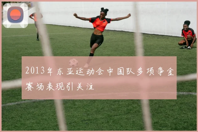 2013年东亚运动会中国队多项争金赛场表现引关注