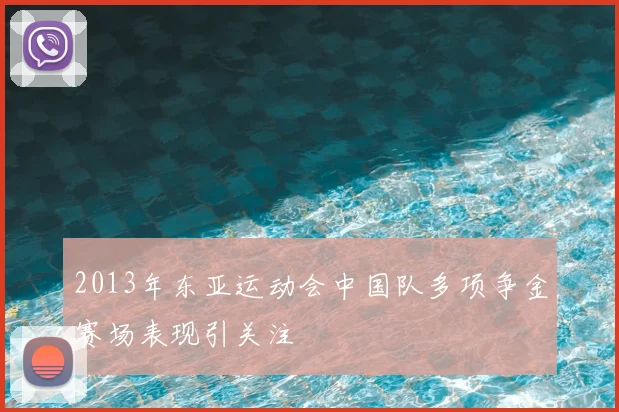 2013年东亚运动会中国队多项争金赛场表现引关注